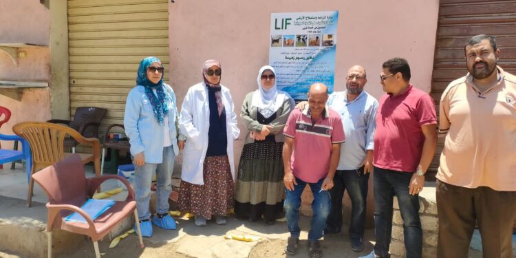 الزراعة: صندوق التأمين على الثروة الحيوانية يشارك فى الحملة القومية للحمى القلاعية    1 التأمين على الثروة الحيوانية