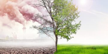 التوصيات الفنية لمجابهة تداعيات التغيرات المناخية على المحاصيل الزراعية 6 التغيرات المناخية