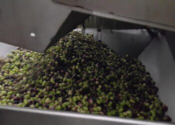 التفلة ومخلفات المصانع