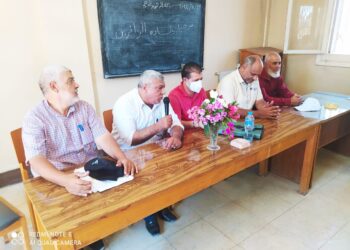 محصول المانجو