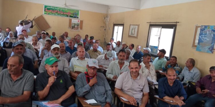 محصول المانجو .. المشكلات التي تواجهه في ندوة إرشادية بالشرقية 1 محصول المانجو