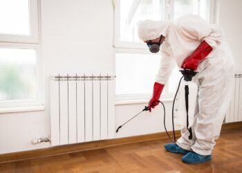 المبيدات المنزلية