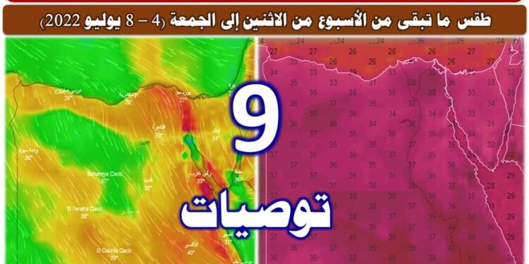 "فهيم" يوجه 9 توصيات للمزارعين لمواجهة ارتفاع الحرارة 1 ارتفاع الحرارة