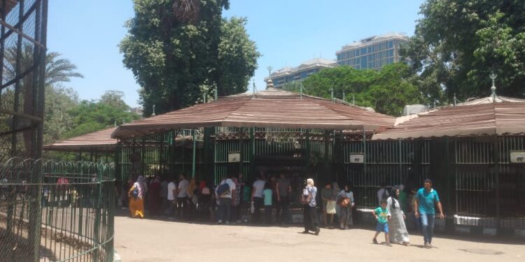 "رجائي": حديقة الحيوان تستقبل المواطنين طوال أيام الأسبوع خلال الإجازة الصيفية 1 حديقة الحيوان