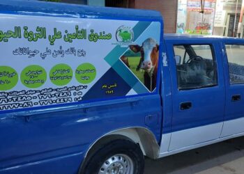 التأمين على الماشية