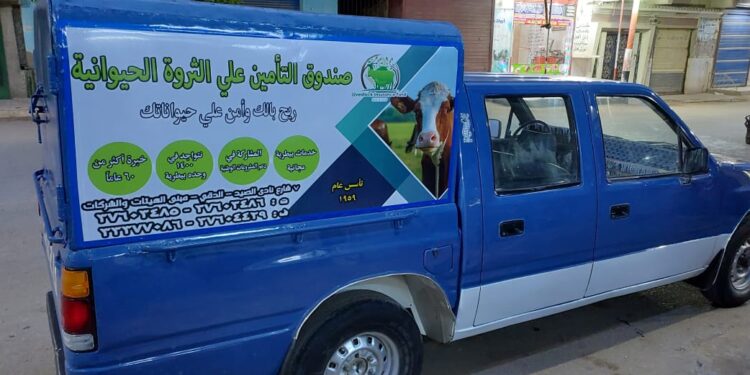 الزراعة: صندوق التأمين على الماشية يصرف تعويضات 100% من قيمة الحيوان 1 التأمين على الماشية