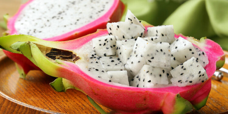 فاكهة التنين.. طريقة الزراعة المُثلى وموعد جني المحصول 1 فاكهة التنين