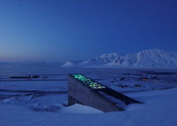 قبو يوم القيامة