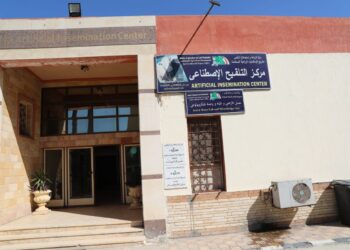 التلقيح الاصطناعي