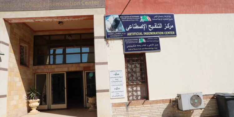 التلقيح الاصطناعي