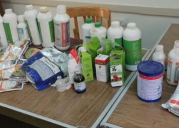 الطب البيطري