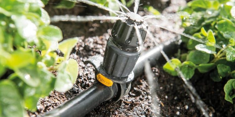 معاملات الري داخل الصوب الزراعية.. أبرز (3) محاذير يجب مُراعاتها 1 معاملات الري