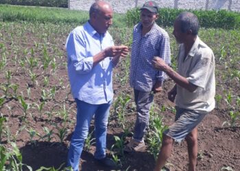 مكافحة الآفات