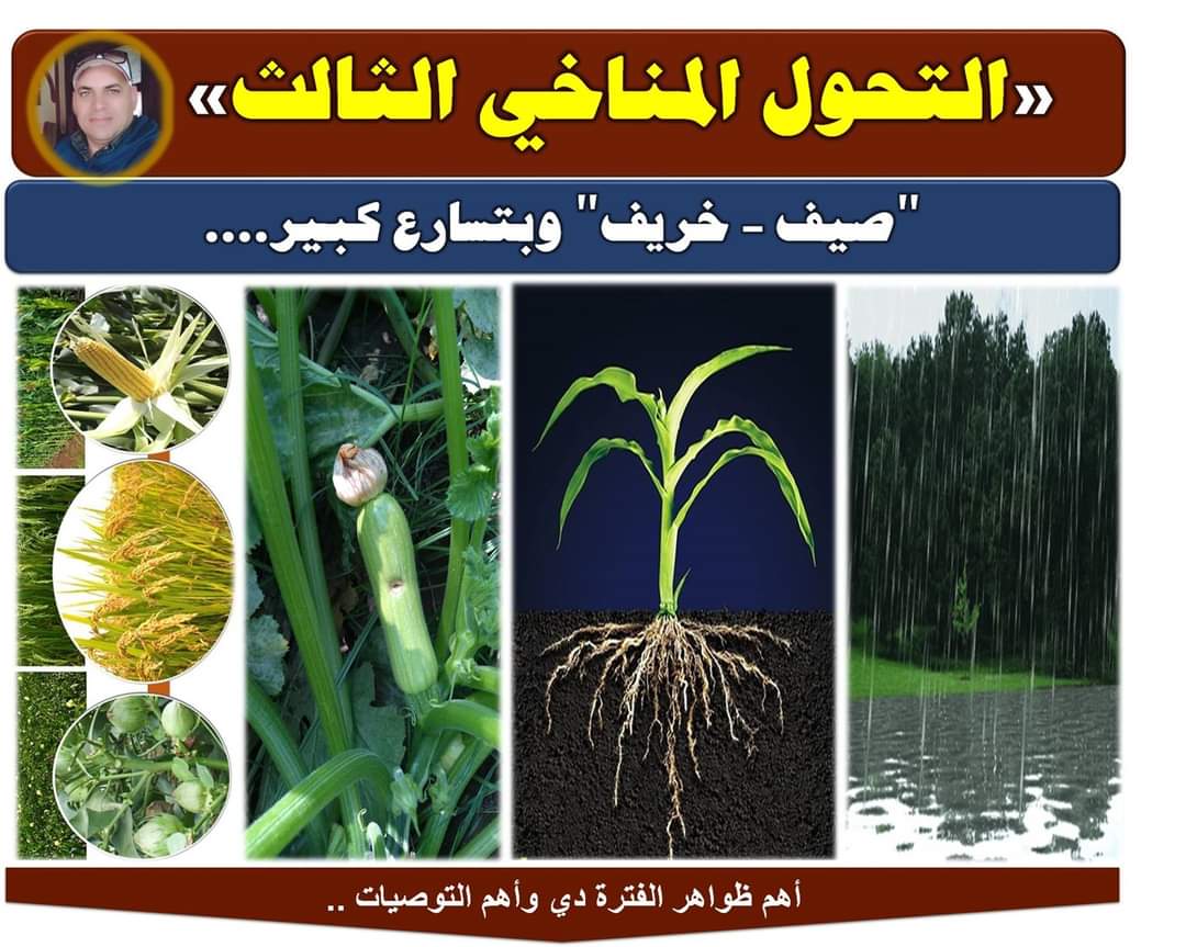 أهم ملامح التحول المناخي الثالث يوضحها مستشار وزير الزراعة 12 التحول المناخي