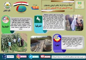 مركز المعلومات الصوتية