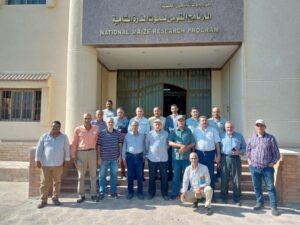 البرامج البحثية