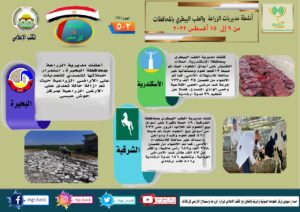 مركز المعلومات الصوتية