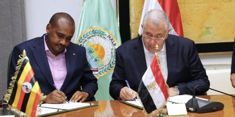 مباحثات مصرية - أوغندية لتعزيز التعاون الزراعي بين البلدين 1 التعاون الزراعي