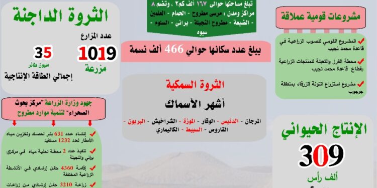 بمناسبة احتفالاتها بالعيد القومي.. "مطروح" طبيعة ساحرة وتنمية شاملة في الساحل الشمالي الغربي 1 بمناسبة احتفالاتها بالعيد القومي.. “مطروح” طبيعة ساحرة وتنمية شاملة في الساحل الشمالي الغربي
