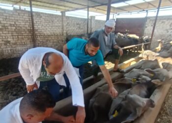 الحمى القلاعية