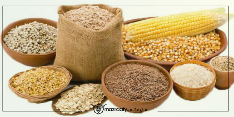 الإضافات الغذائية غير التقليدية في علائق الحيوان والدواجن 1 الإضافات الغذائية