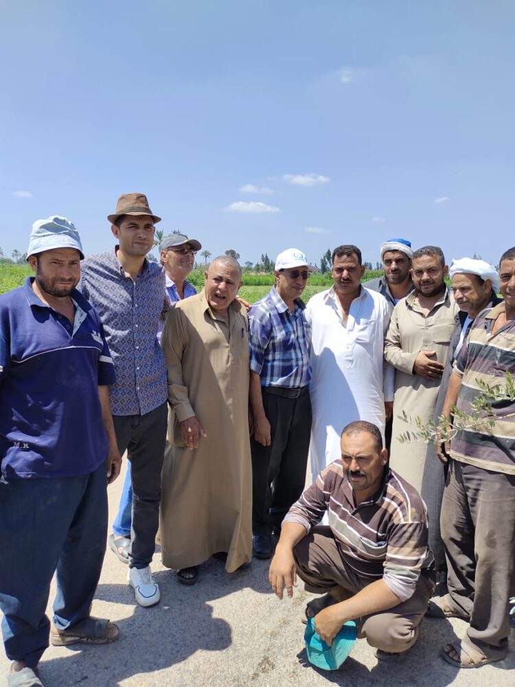 زراعة 350 شجرة بالشرقية ضمن المبادرة الرئاسية لزراعة 100 مليون شجرة