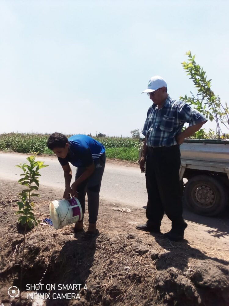 زراعة 350 شجرة بالشرقية ضمن المبادرة الرئاسية لزراعة 100 مليون شجرة