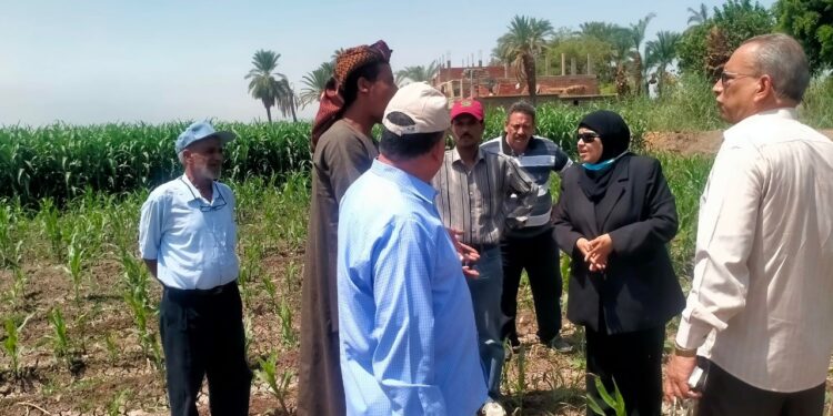 جولة مرورية لـ"وكيل زراعة أسيوط" على الزراعات الصيفية والقطن 1 مركز الفتح