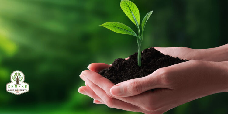 أبرز مهام مركز الحد من المخاطر والدراسات والبحوث البيئية بجامعة القاهرة 1 البحوث البيئية