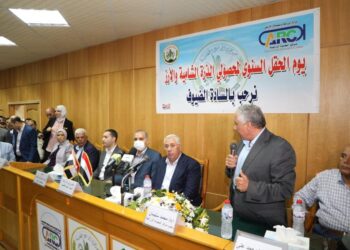 رفع كفاءة الأصول