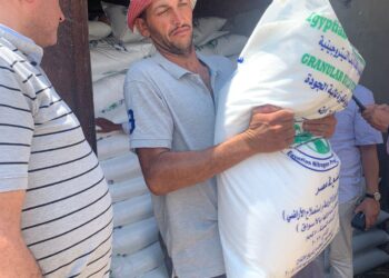 صرف الأسمدة