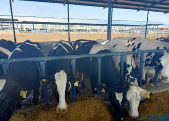 التغيرات المناخية