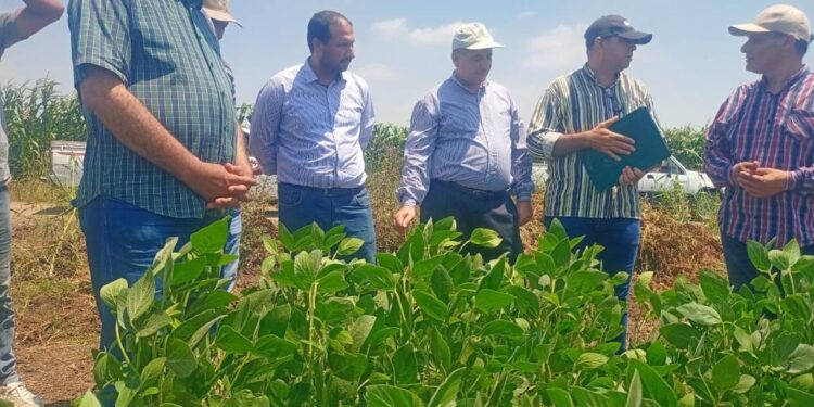 الزراعة تتابع البرامج البحثية والإكثارات للمحاصيل الصيفية بمحطة سخا 1 الزراعة تتابع البرامج البحثية والإكثارات للمحاصيل الصيفية بمحطة سخا