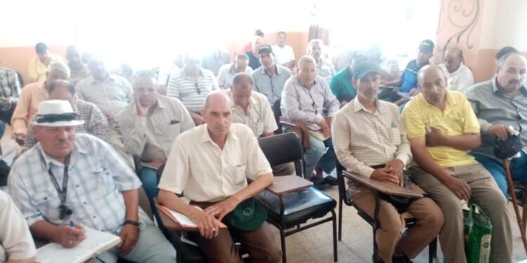 التغيرات المناخية وتأثيرها على الحاصلات البستانية في ندوة إرشادية بمنيا القمح 1 التغيرات المناخية