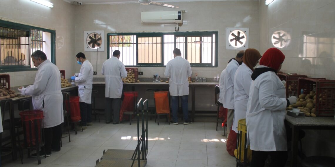 العفن البني