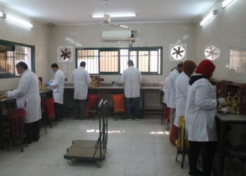 العفن البني