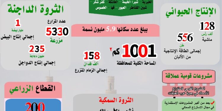 "القليوبية ".. ملتقى محافظات الوجه البحري تروي أراضي دلتا النيل 1 القليوبية