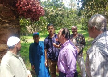 المركزي للنخيل