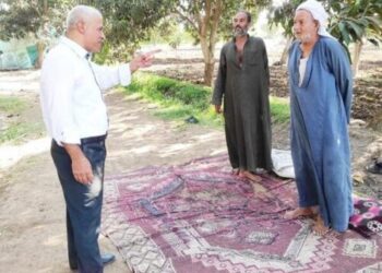 زراعة بني سويف