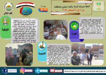 مركز المعلومات الصوتية