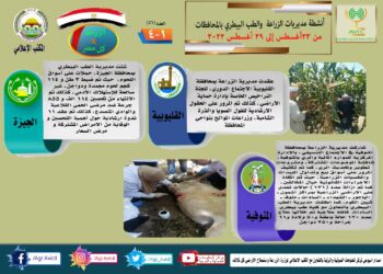 مركز المعلومات الصوتية