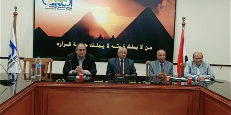 تقاوي الخضر .. "سليمان" يتابع إنجازات البرنامج الوطني 1 تقاوي الخضر