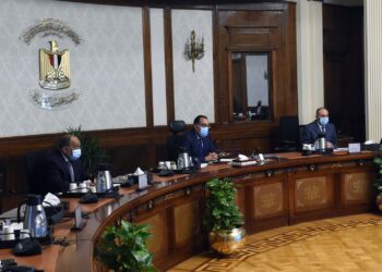 زراعة 100 مليون شجرة