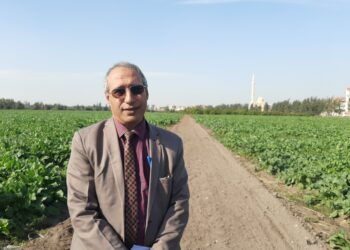 الشرقية تستعد لزراعة 4 ملايين شجرة مثمرة