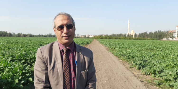 الشرقية تستعد لزراعة 4 ملايين شجرة مثمرة