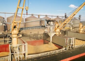 الحجر الزراعي