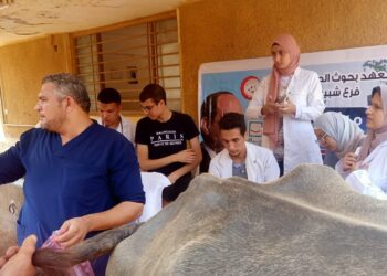 معهد صحة الحيوان