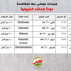 دودة الحشد الخريفية