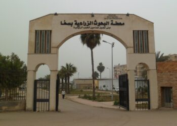 محطة بحوث سخا