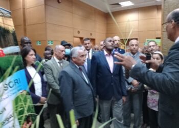 مركز البحوث الزراعية